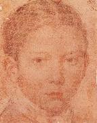 VELAZQUEZ, Diego Rodriguez de Silva y Head-Portrait of Young boy painting